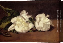 Branches Canvas Paintings - Branch Of White Peonies With Pruning Shears by Eduard Manet