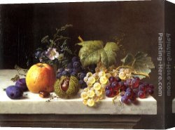 Emilie, Canvas Paintings - Grapes Plums Etc. On A Marble Ledge by Emilie Preyer