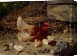 Chickens, Canvas Paintings - A Hen And Chickens by Eugene Remy Maes