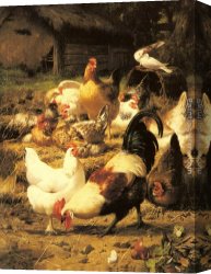Poultry in The Undergrowth Canvas Paintings - Poultry in a Farmyard by Eugene Remy Maes