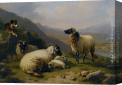 Dogs Canvas Paintings - Sheep dog guarding his flock by Eugene Verboeckhoven