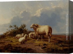 Cattle And Sheep Resting Canvas Paintings - Sheep In The Meadow by Eugene Verboeckhoven