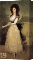 Francisco Miralles Canvas Paintings - Dona Tadea Arias de Enriquez by Francisco de Goya