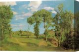 Stretched Canvas Painting