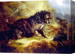 Armfield Canvas Paintings - A Terrier and a Hedgehog by George Armfield