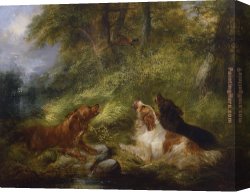 Flushing Canvas Paintings - Flushing a Pheasant by George Armfield