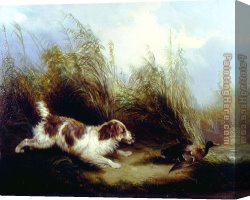 Flushing Canvas Paintings - Spaniel Flushing Mallard by George Armfield