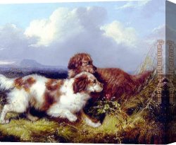 Flushing Canvas Paintings - Spaniels Flushing Game by George Armfield