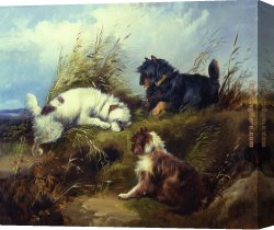 Armfield Canvas Paintings - Terriers by George Armfield