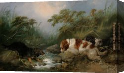 Armfield Canvas Paintings - Three Dogs by a Brook by George Armfield