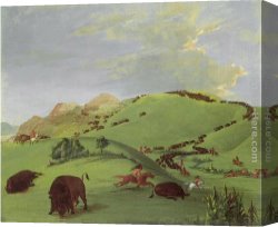 Buffalo Canvas Paintings - Buffalo Chase, Mouth of the Yellowstone by George Catlin