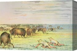 Buffalo Canvas Paintings - Stalking Buffalo by George Catlin