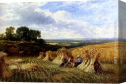 Harvest Canvas Paintings - Harvest Field by George Cole Snr