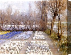 Field of Spring Wheat at Sunrise Canvas Paintings - Spring Crosuc Fields by George Hitchcock