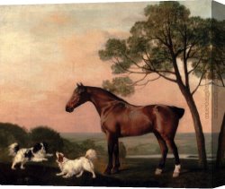 Hunters Canvas Paintings - A Bay Hunter With Two Spaniels by George Stubbs