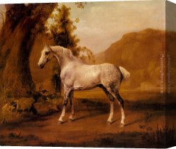 Stubbs Canvas Paintings - A Grey Stallion In A Landscape by George Stubbs