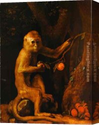 Stubbs Canvas Paintings - Green Monkey by George Stubbs