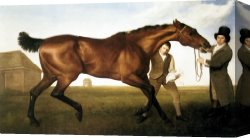 Stubbs Canvas Paintings - Hambletonion by George Stubbs