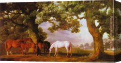 Lord Rivers' Roan Mare in a Landscape Canvas Paintings - Mares and Foals in a Wooded Landscape by George Stubbs