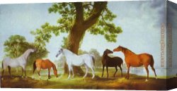 Stubbs Canvas Paintings - Mares by an Oak-Tree by George Stubbs