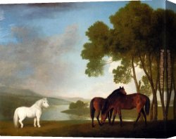 Lord Rivers' Roan Mare in a Landscape Canvas Paintings - Two Bay Mares And A Grey Pony In A Landscape by George Stubbs