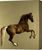 Stretched Canvas Painting
