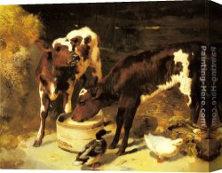 Feeding The Pigeons Canvas Paintings - Calves Feeding by George W. Horlor