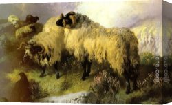 Cattle And Sheep Resting Canvas Paintings - Highland Scene with Sheep and Grouse by George W. Horlor