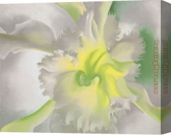 Orchids Canvas Paintings - An Orchid 1941 by Georgia O'Keeffe