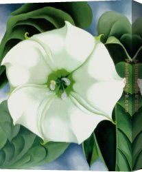 Peasant Burning Weeds Canvas Paintings - Jimson Weed 1932 by Georgia O'Keeffe