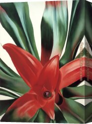 Leaves Canvas Paintings - Leaves of a Plant by Georgia O'Keeffe