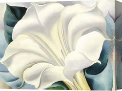 The Flower Seller Canvas Paintings - White Flower by Georgia O'Keeffe