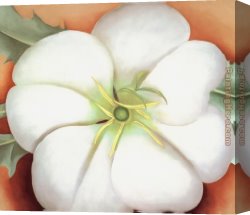 The Red Sign Canvas Paintings - White flower on Red Earth No. 1 by Georgia O'Keeffe