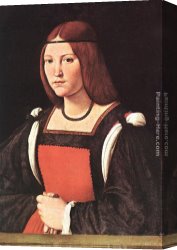 Antonio Canvas Paintings - Portrait of a Young Woman by Giovanni Antonio Boltraffio