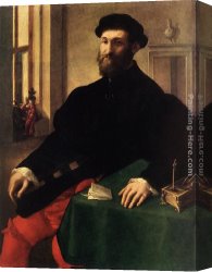 Giulio Canvas Paintings - Portrait of a Man by Giulio Campi