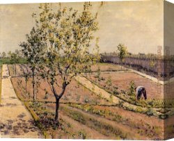 Petit Canvas Paintings - Kitchen Garden, Petit Gennevilliers by Gustave Caillebotte