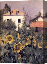 Les Champs Elysees Au Petit Matin Canvas Paintings - Sunflowers, Garden at Petit Gennevilliers by Gustave Caillebotte