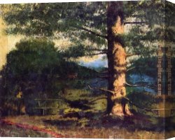 Gustave Canvas Paintings - Landscape with tree by Gustave Courbet