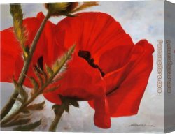 Heinz Scholnhammer Canvas Paintings - The Red Poppy by Heinz Scholnhammer