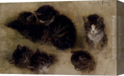 Henriette Canvas Paintings - Studies Of Kittens by Henriette Ronner-Knip