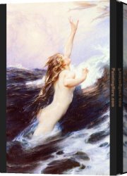 Around The Fish Canvas Paintings - Flying Fish by Herbert James Draper