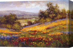Campo Canvas Paintings - Campo di Fiore I by Hulsey