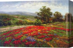 Campo Canvas Paintings - Campo di Fiore II by Hulsey