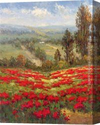 Vista Canvas Paintings - Poppy Vista II by Hulsey