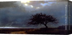 Jacob Canvas Paintings - Kenya Tree by Jacob Collins