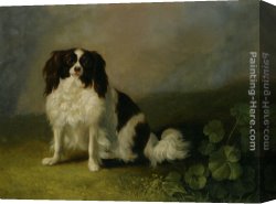 A Spaniel And a Pug Canvas Paintings - A King Charles Spaniel in a Landscape by Jacob Philipp Hackert