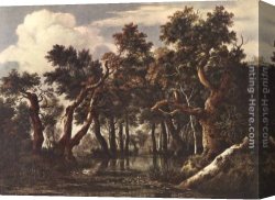 Ruisdael Canvas Paintings - The Marsh in a Forest by Jacob van Ruisdael