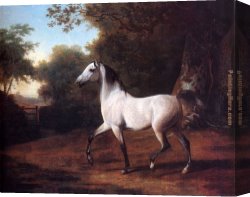 Agasse Canvas Paintings - A Grey Arab Stallion In A Wooded Landscape by Jacques Laurent Agasse