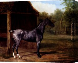 Agasse Canvas Paintings - lord Rivers' Roan mare In A Landscape by Jacques Laurent Agasse