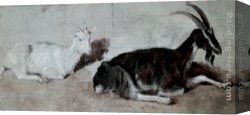 Agasse Canvas Paintings - Two Goats by Jacques-Laurent Agasse